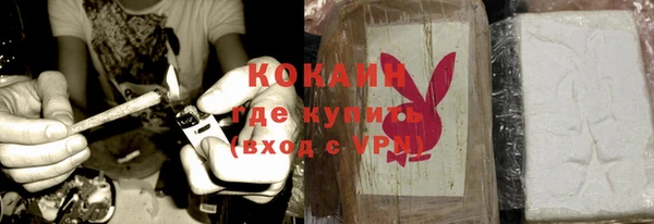 стаф Балахна