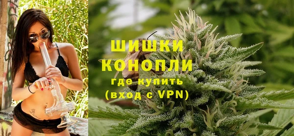 стаф Балахна