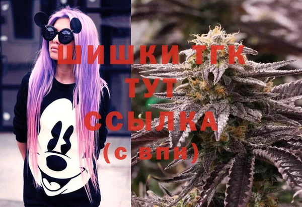стаф Балахна