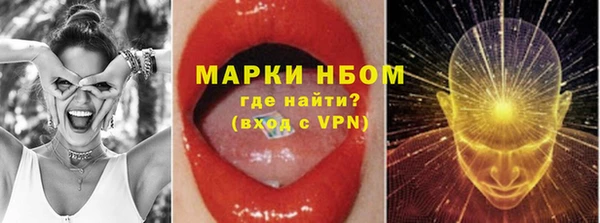 стаф Балахна