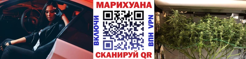 Шишки марихуана Bruce Banner Магас